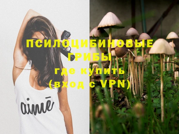 таблы Заводоуковск