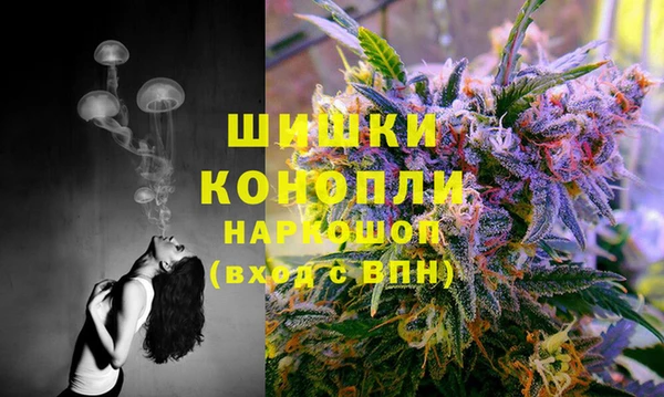 гидропоника Ельня