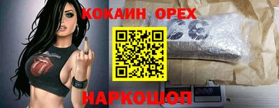 винт Кандалакша