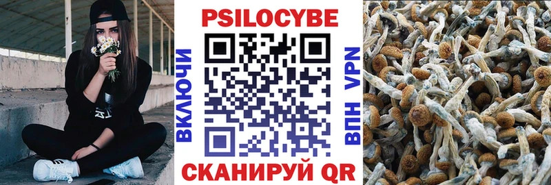 Псилоцибиновые грибы Psilocybe  Кызыл 