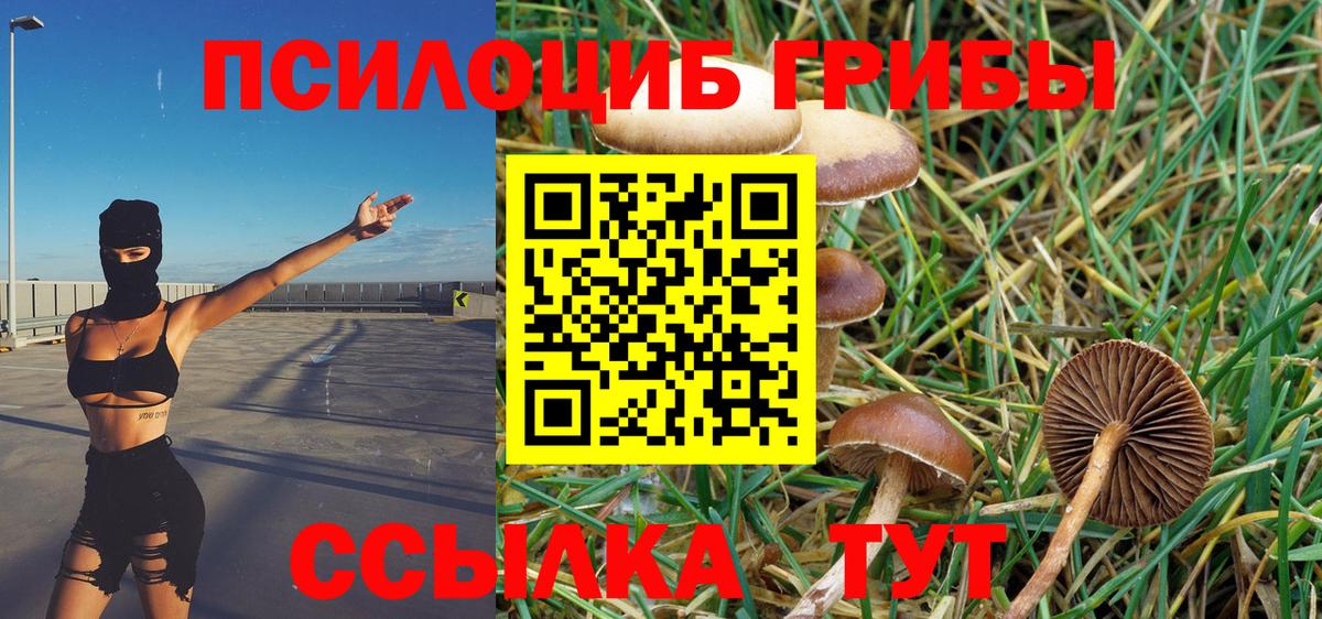Псилоцибиновые грибы Psilocybe  Галлюциногенные грибы Magic Shrooms  Кызыл  цены   Вход с VPN 