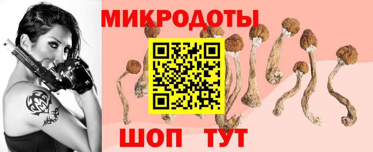 Псилоцибиновые грибы Psilocybine cubensis Кызыл